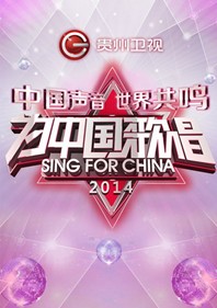 2014贵州卫视跨年音乐盛典
